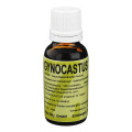 GYNOCASTUS Lösung